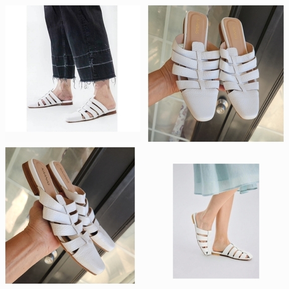 KAANAS santilles gladiator mule - Picture 1 of 6